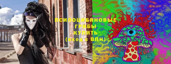 соль ск Михайлов