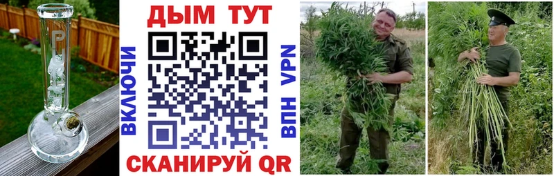 где купить наркоту  Правдинск  Каннабис тримм 