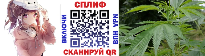 Марихуана White Widow Правдинск
